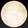 TPL_TL9650Y-00PN