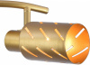 ESC_666_2A