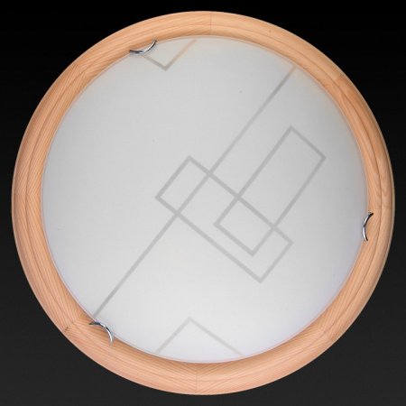 TPL_TL9540Y-00PN