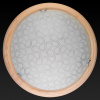 TPL_TL9520Y-00PN