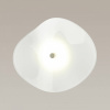 OD_4856_5WL