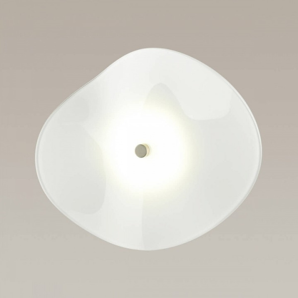 OD_4856_5WL
