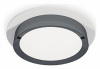 AMBR_XC8050007