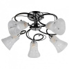 TPL_TL2760X-05WC
