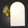 EVO_SLE1047-301-01